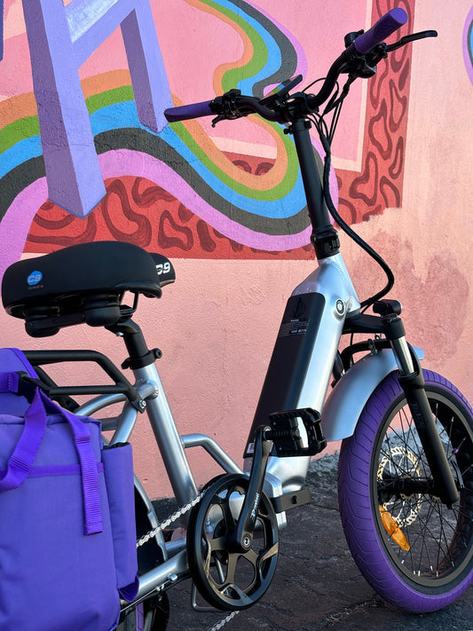 Custom Purple Rain 750 w Electric Folding eBike 20x3 Fat tire electric bike