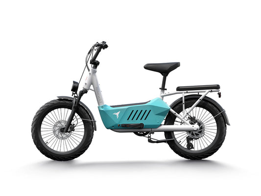 Himiway Cargo Ebike C3