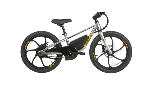 Big Bear eBikes EKIDS 20 2024 250W Kids Micro Ebike 20x1.95" Electric Micro eBike