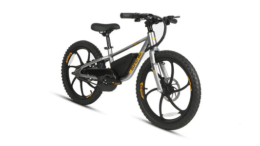 Big Bear eBikes EKIDS 20 2024 250W Kids Micro Ebike 20x1.95" Electric Micro eBike