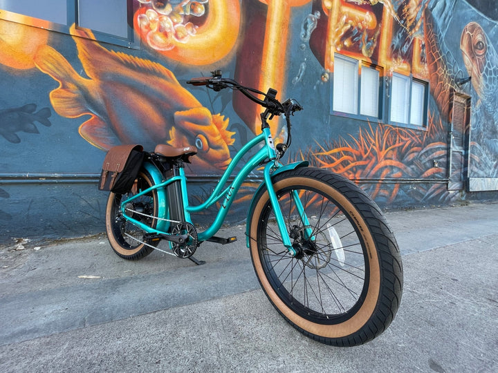 Custom Fat Tire Electric Cruiser (Step - Thru) eBike - Fat Tire Cruiser eBike - eBike Super Shop