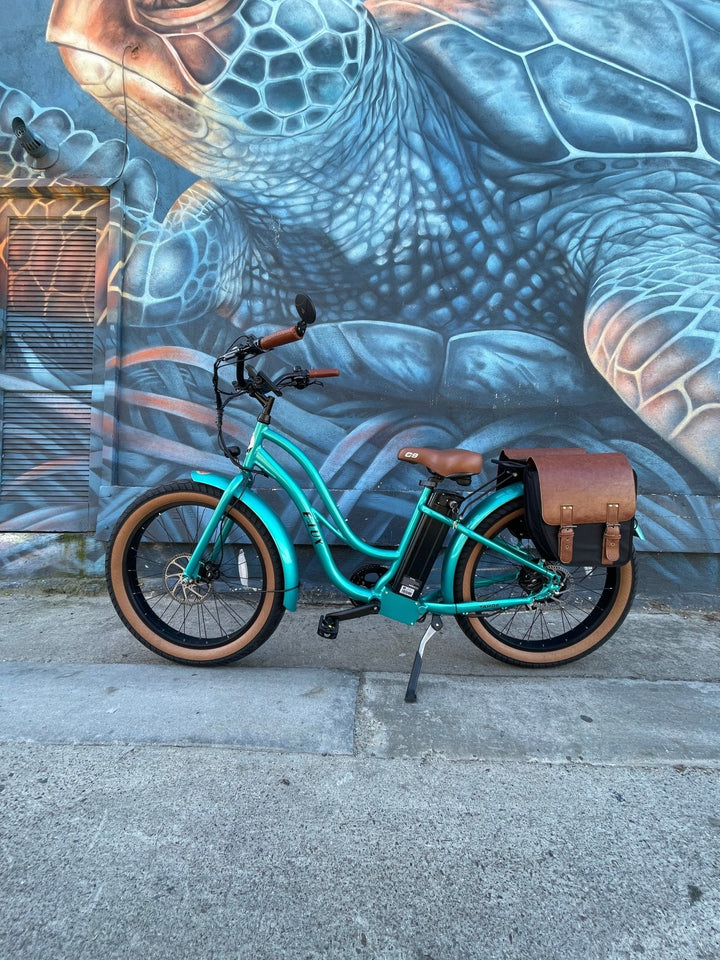 Custom Fat Tire Electric Cruiser (Step - Thru) eBike - Fat Tire Cruiser eBike - eBike Super Shop