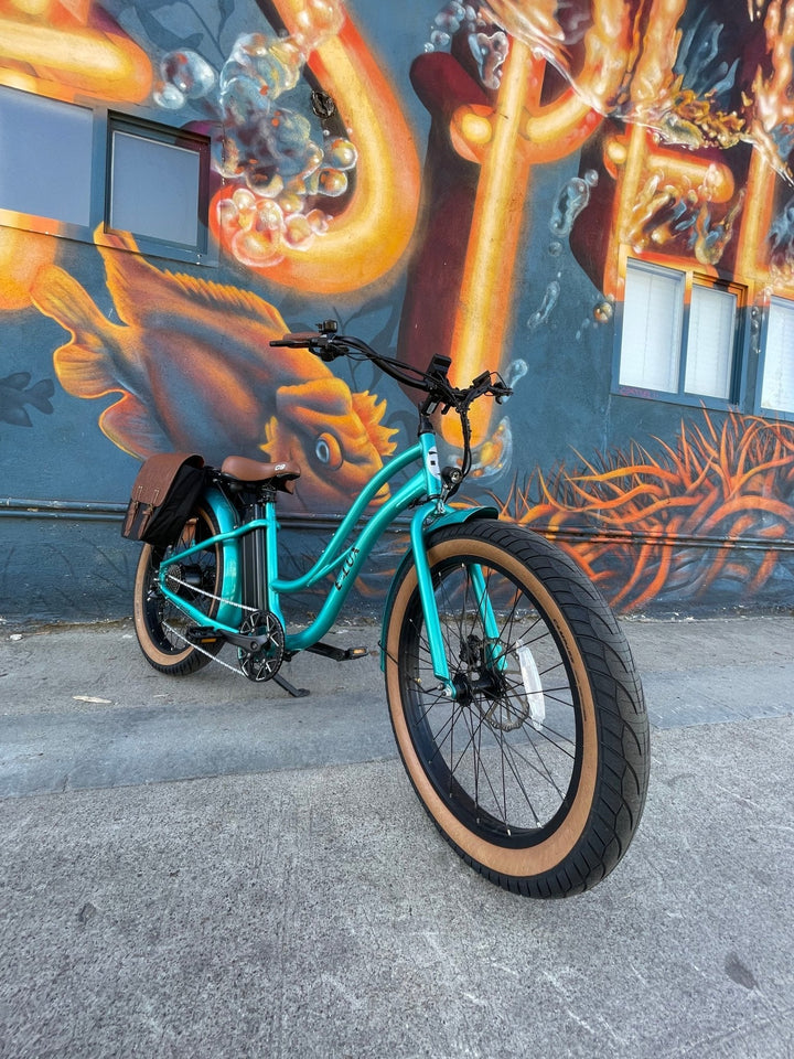 Custom Fat Tire Electric Cruiser (Step - Thru) eBike - Fat Tire Cruiser eBike - eBike Super Shop