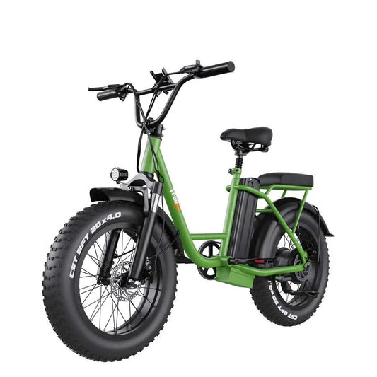 FREEGO Electric Cargo eBike FB-20X Step-thru-Step Thru 750 w Electric Communter eBike