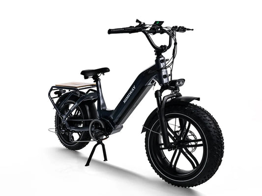 HIMIWAY Big Dog 750 w Step Thru Ebike 20x4 Fat Electric Cargo eBike