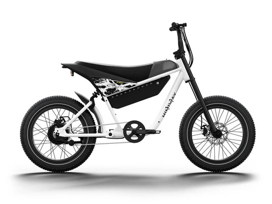 HIMIWAY C5 Sport 750 w Step Over Ebike 20x4 Fat Electric e-Moto Style eBike