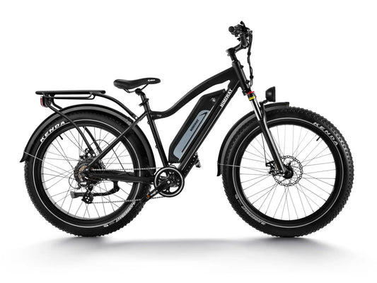 HIMIWAY Cruiser D3 750 w Step Over Ebike 26x4 Fat Fat Tire Electric Beach Cruiser eBike