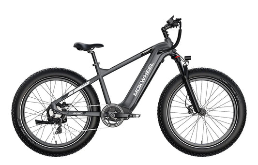 MOKWHEEL Basalt 750 w Step Over Ebike 26x4 Fat Tire Fat Tire Electric Beach Cruiser eBike