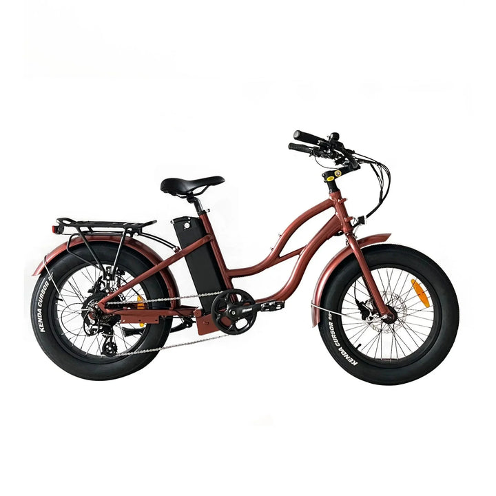 OB eBikes COASTAL CRUISER 52V 24 Thru 750 w Ready to Ride Step Thru Ebike 24x3 Fat Tire Electric Beach Cruiser eBike - Fat Tire Cruiser eBike - eBike Super Shop