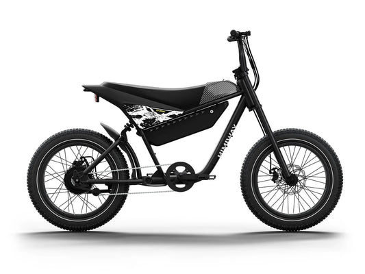 OB eBikes HIMIWAY C5 Sport 750 w  Step Over Ebike 20x4 Electric e-Moto Style eBike