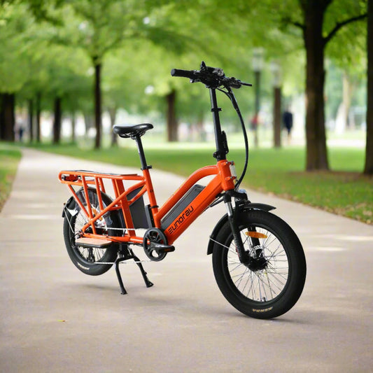 EUNORAU G30 Cargo 500w Step Thru eBike 20x3 Fat Electric Cargo eBike