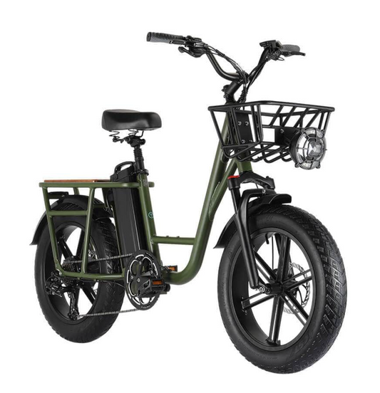 FIIDO T1 Pro - Electric Cargo Bike