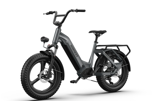 Himiway Big Dog - Electric Cargo Bike